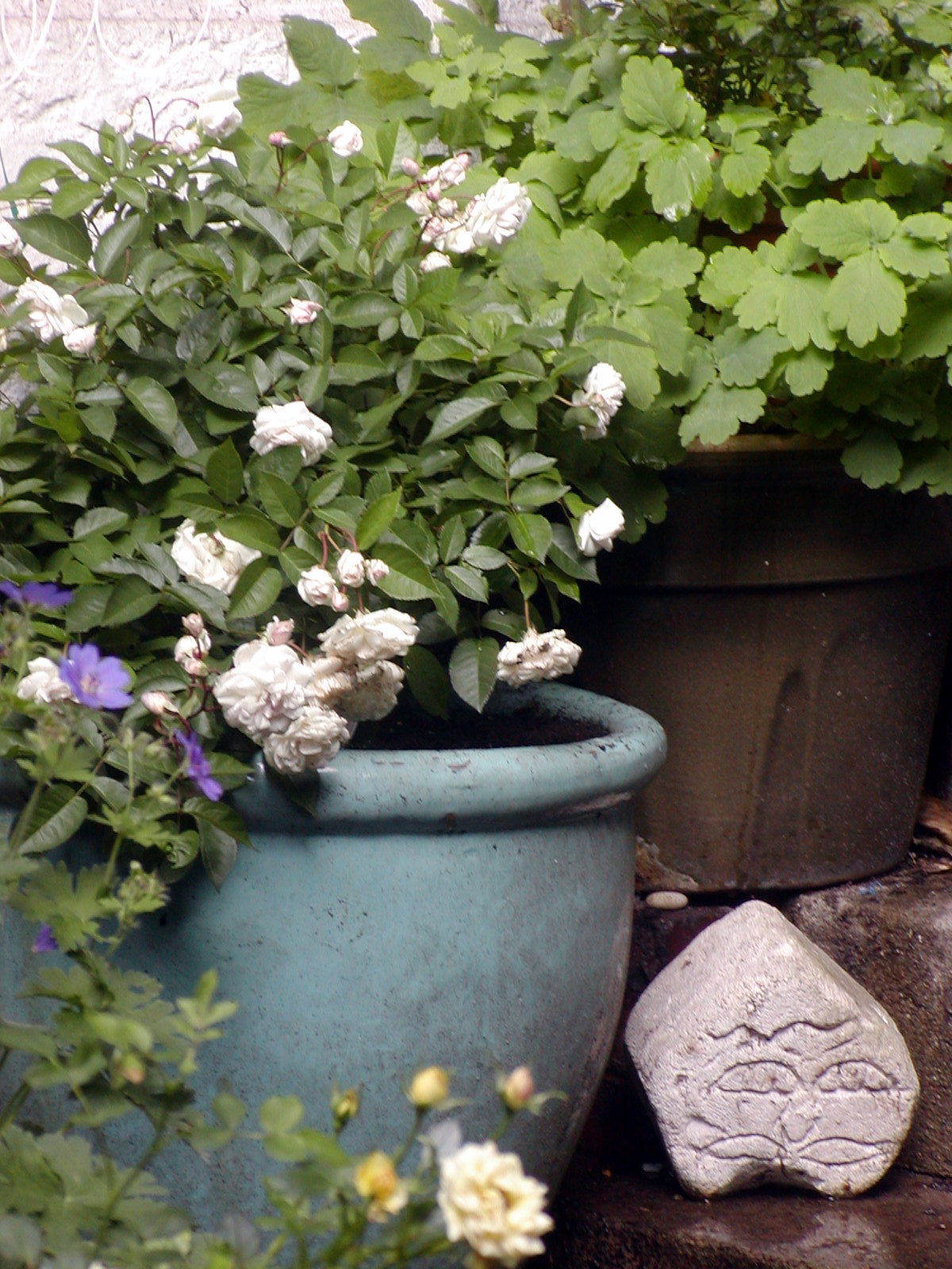 p7250091