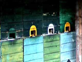 bienenstoecke1