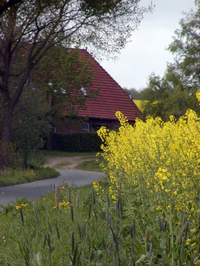 P1010039 Kopie