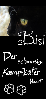 Bisi – der schmusige Kampfkater bloggt