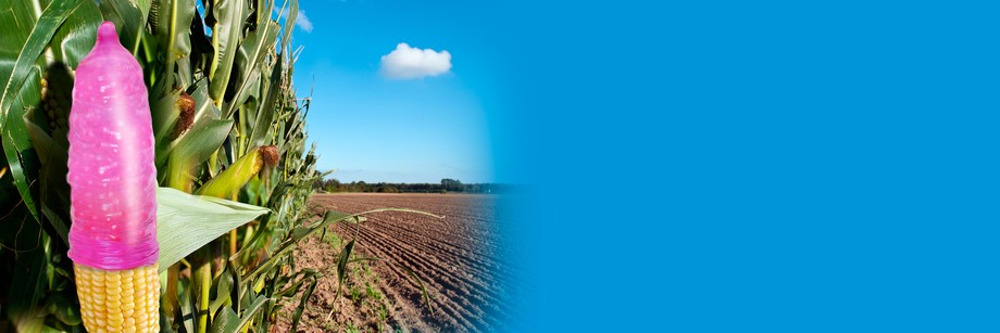 b91fc20637c482d9218fff5b6c6921bc